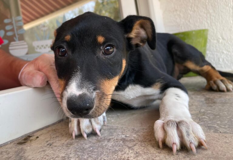 multimedia-foto91047-458-1