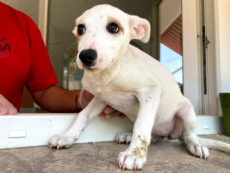 multimedia-foto91053-547-1