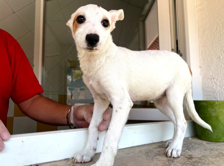 multimedia-foto91056-548-1