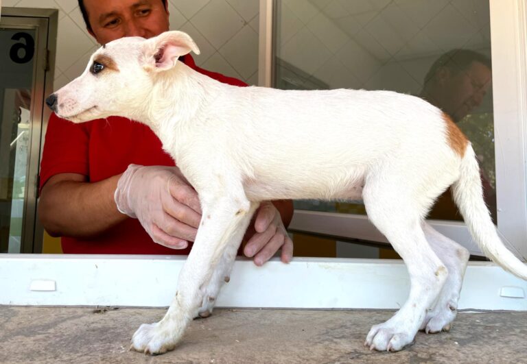 multimedia-foto91057-548-1