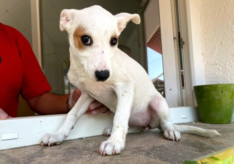 multimedia-foto91058-549-1