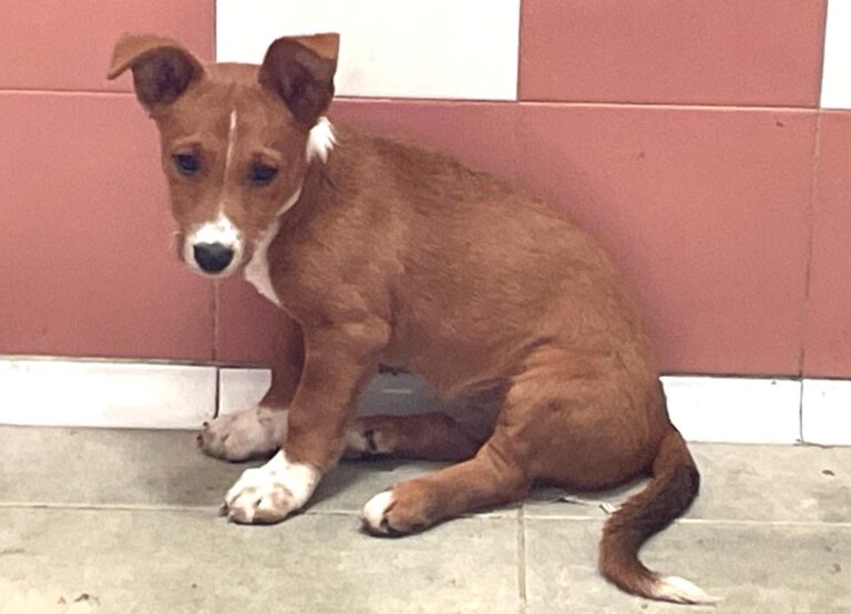 multimedia-foto91064-657-1