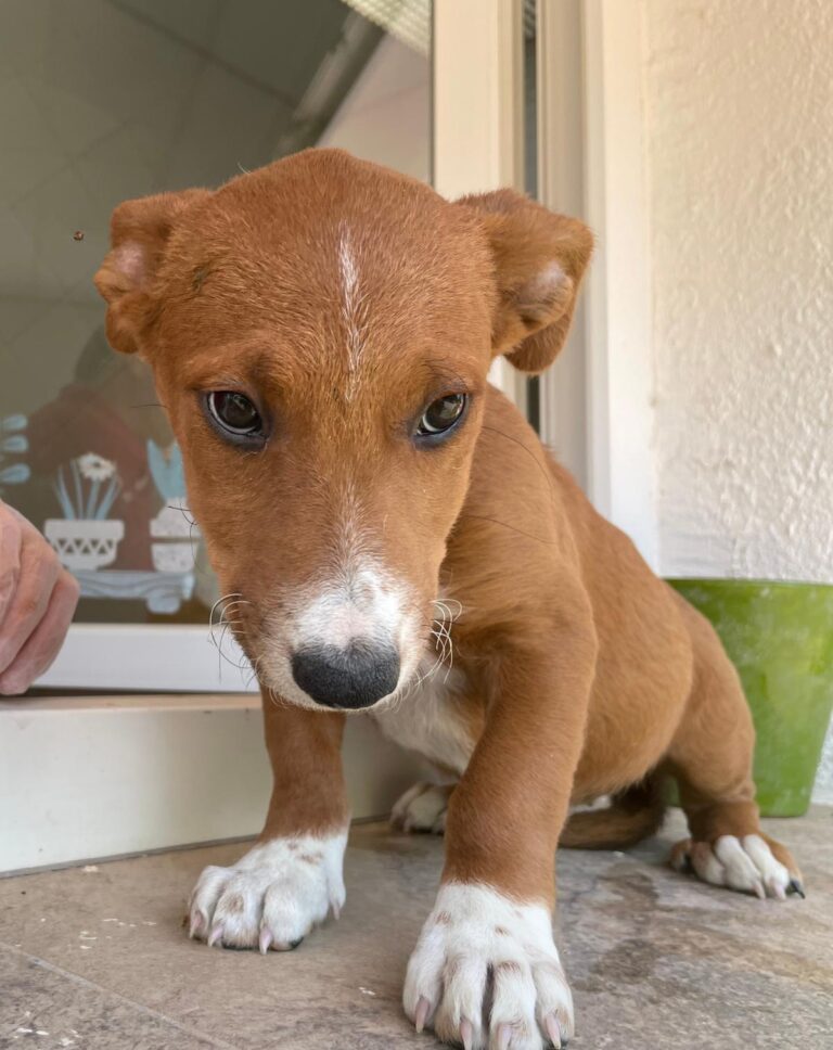 multimedia-foto91068-658-1