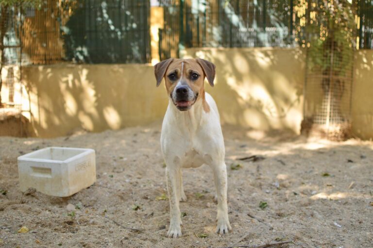 multimedia-foto91080-525-1