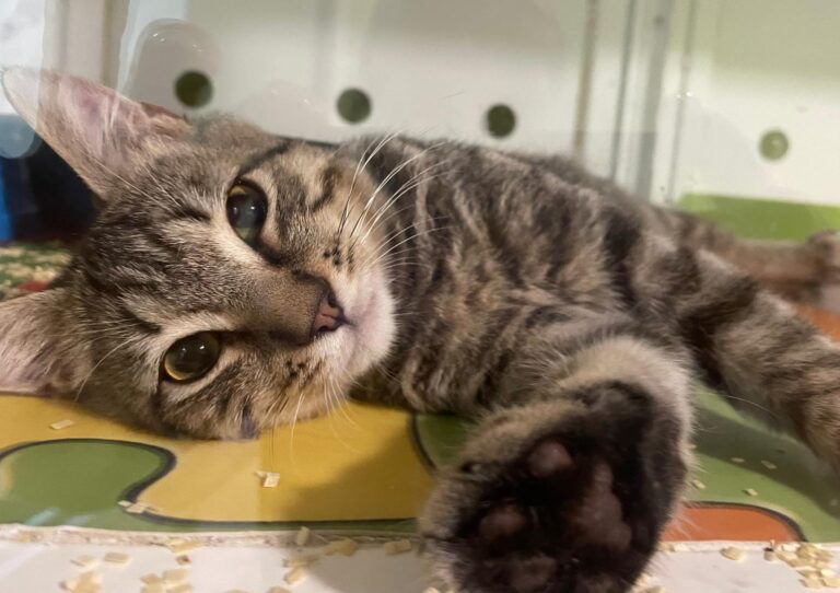 multimedia-foto91111-179-1