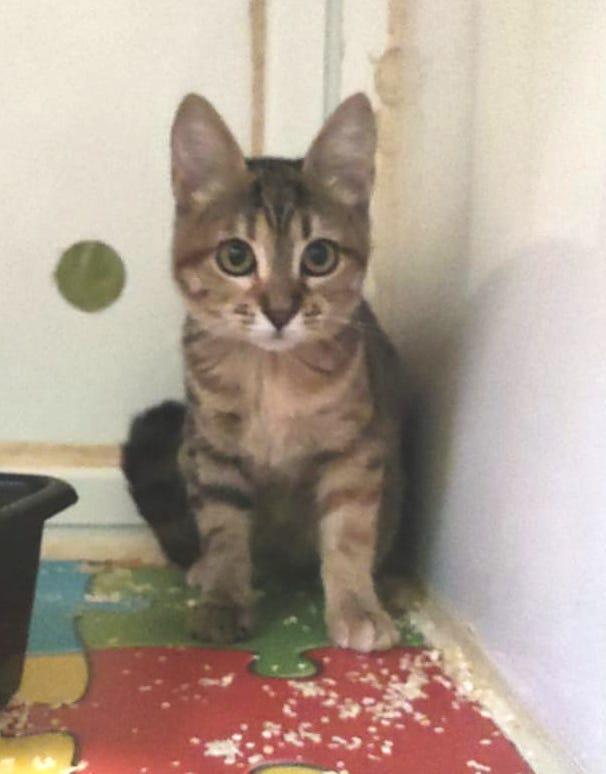 multimedia-foto91176-167-1