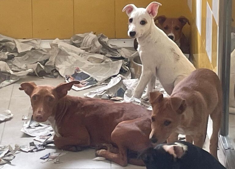 multimedia-foto91205-170-1