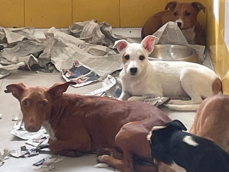 multimedia-foto91206-170-1