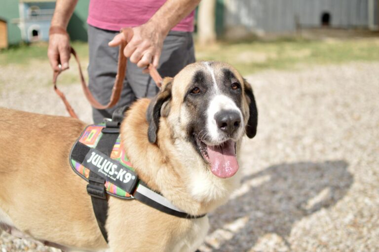 multimedia-foto91208-473-1