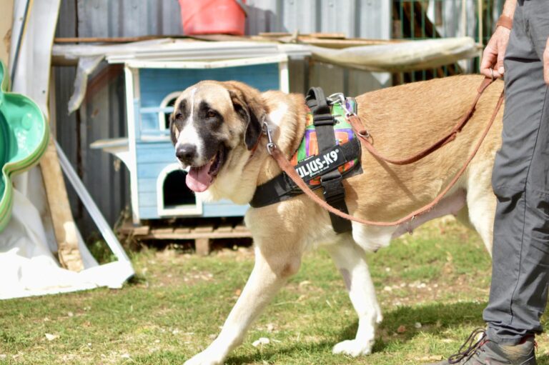 multimedia-foto91209-473-1