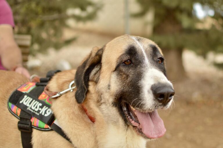 multimedia-foto91210-473-1