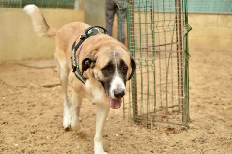 multimedia-foto91211-473-1