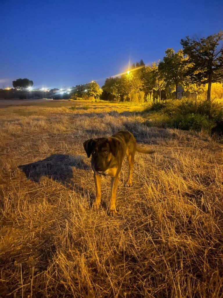 multimedia-foto91218-294-1