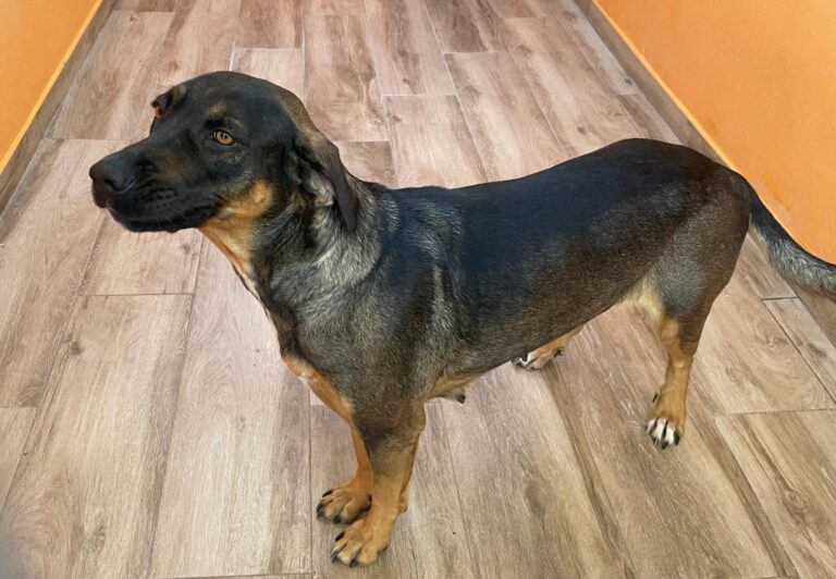 multimedia-foto91219-294-1