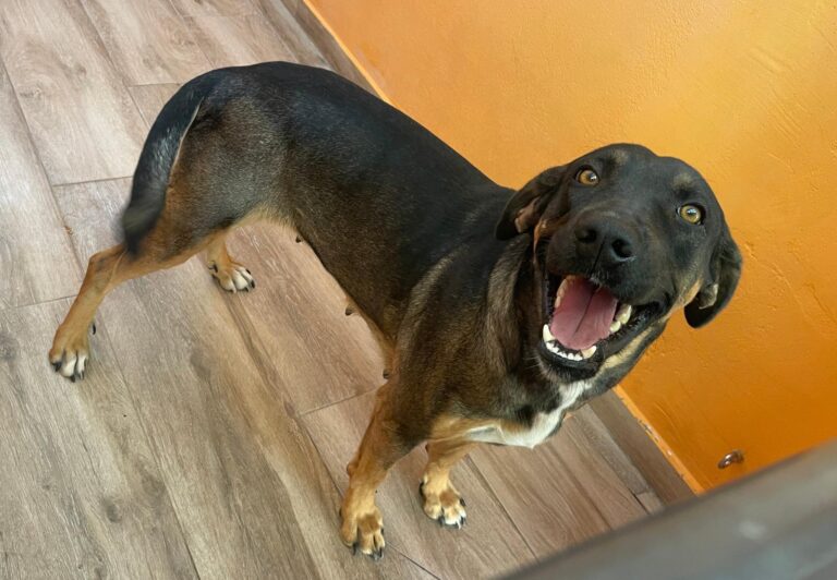 multimedia-foto91220-294-1