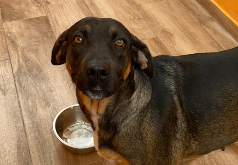 multimedia-foto91221-294-1