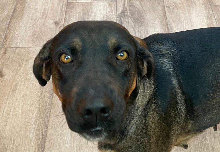 multimedia-foto91224-295-1