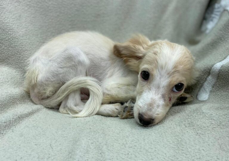 multimedia-foto91225-421-1