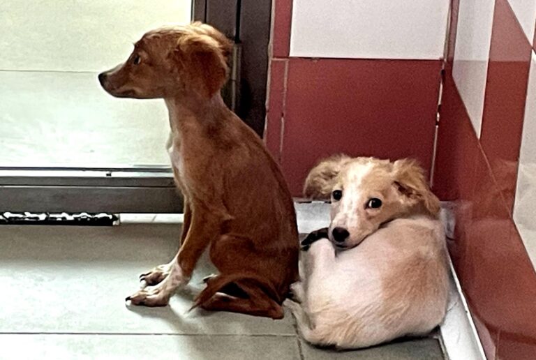 multimedia-foto91227-422-1