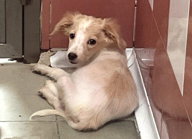 multimedia-foto91229-422-1