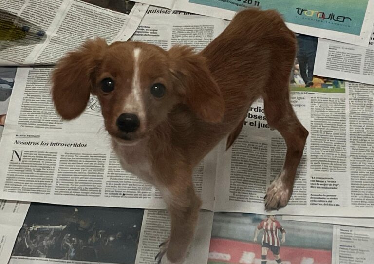 multimedia-foto91233-471-1