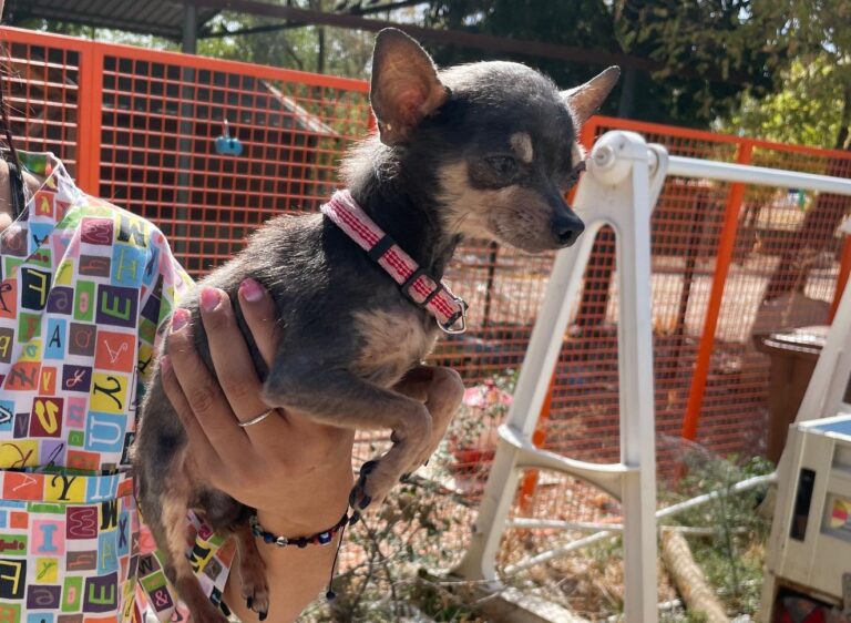 multimedia-foto91264-8-1