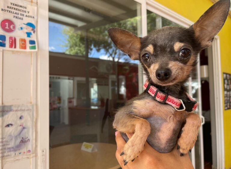 multimedia-foto91265-9-1