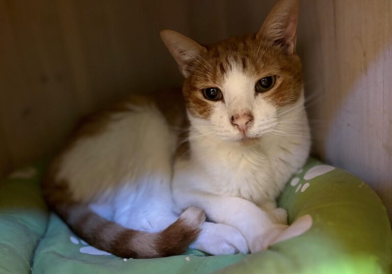 multimedia-foto91274-222-1