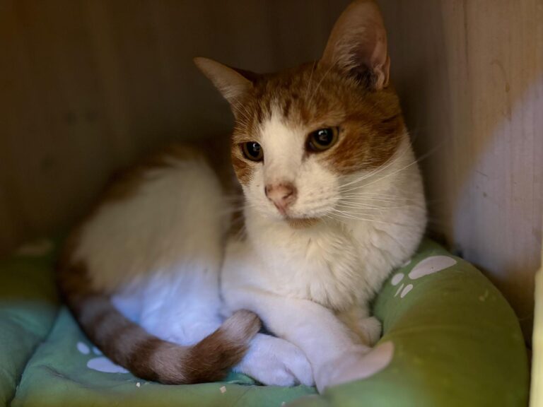 multimedia-foto91275-222-1