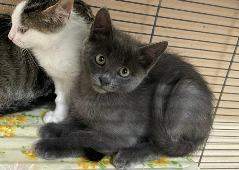 multimedia-foto91305-74-1