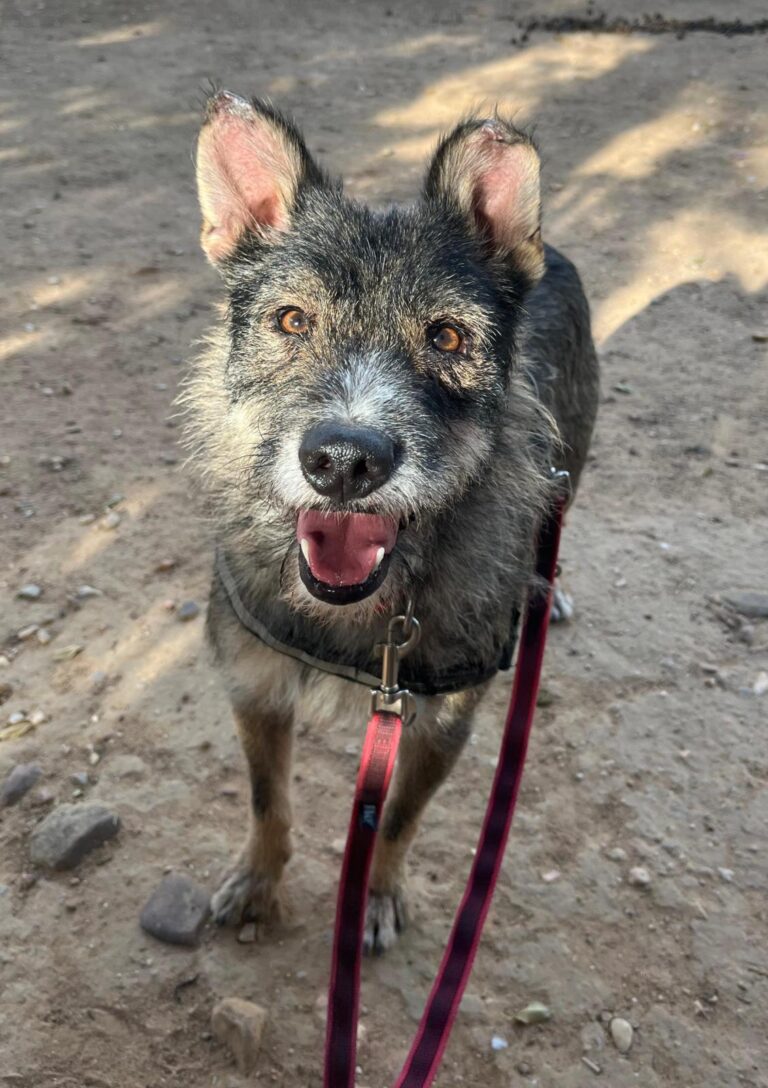 multimedia-foto91308-794-1