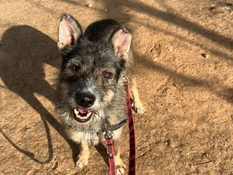 multimedia-foto91309-795-1