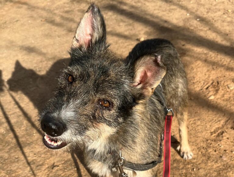 multimedia-foto91310-795-1