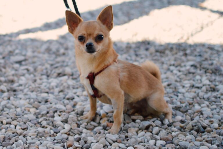 Processed with VSCO with e4 preset