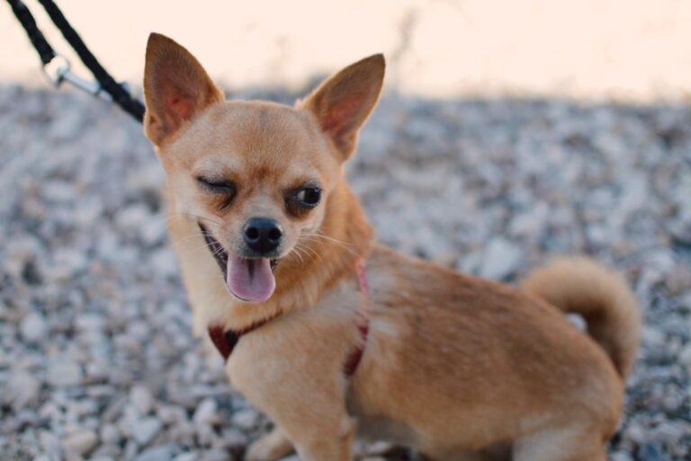 Processed with VSCO with e4 preset