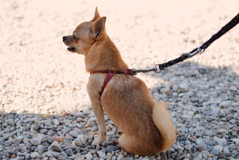 Processed with VSCO with e4 preset