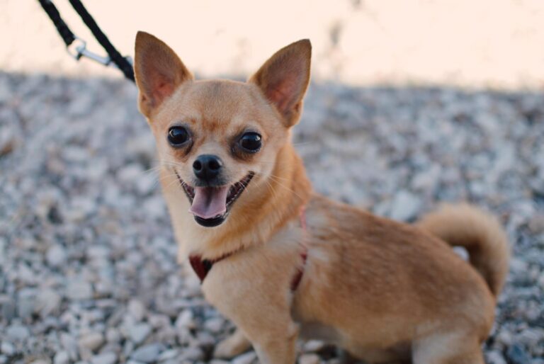 Processed with VSCO with e4 preset