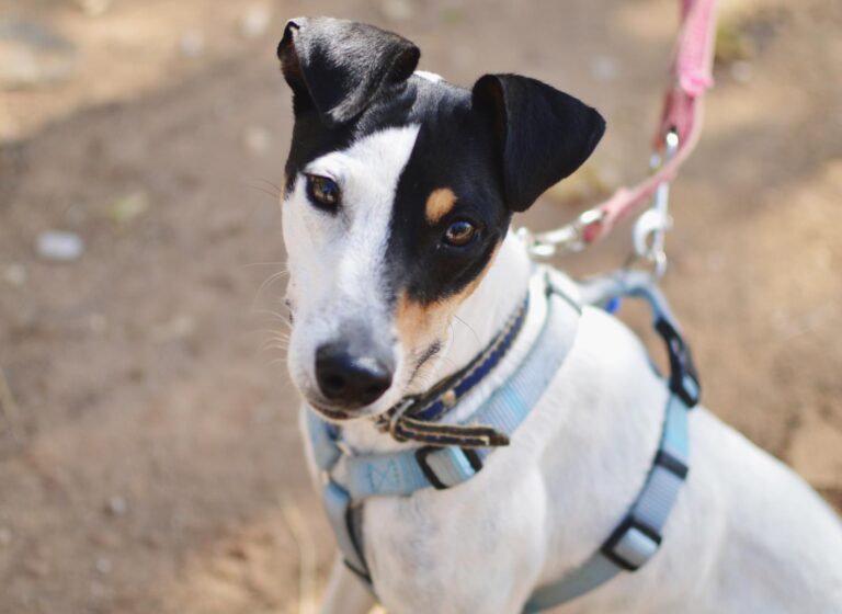 Processed with VSCO with 4 preset