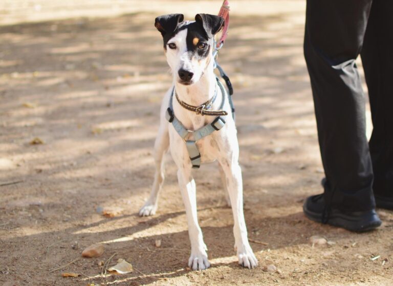 Processed with VSCO with 4 preset