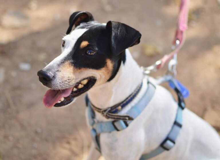 Processed with VSCO with 4 preset