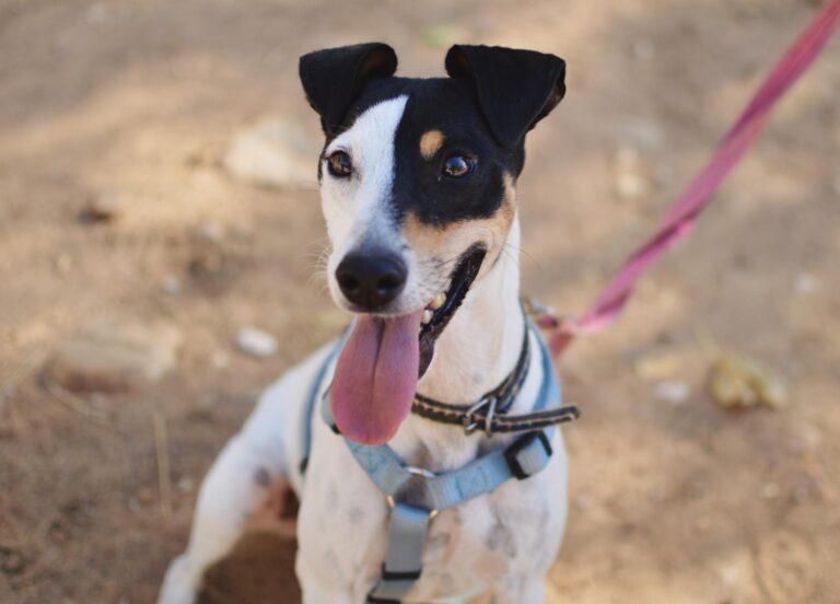 Processed with VSCO with 4 preset