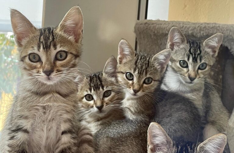 multimedia-foto91349-844-1