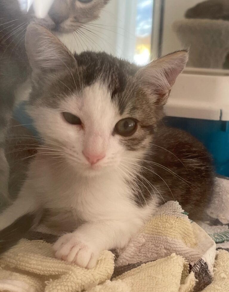 multimedia-foto91412-74-1