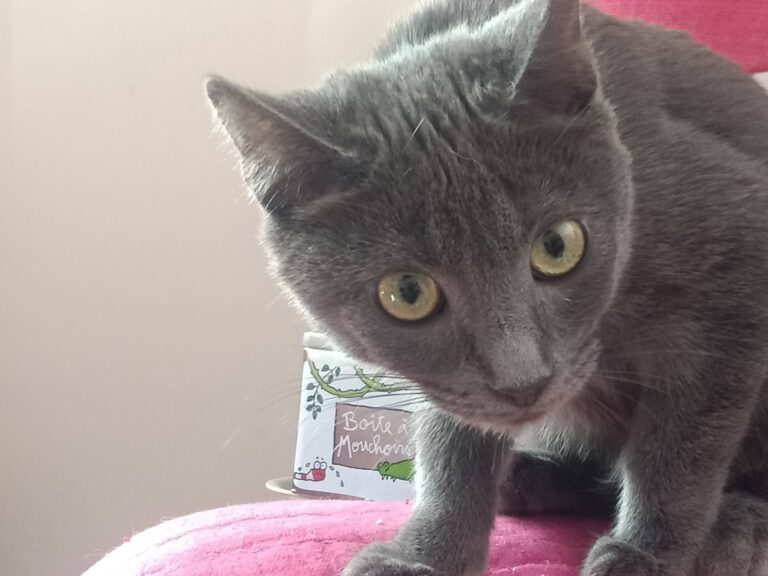 multimedia-foto91419-462-1