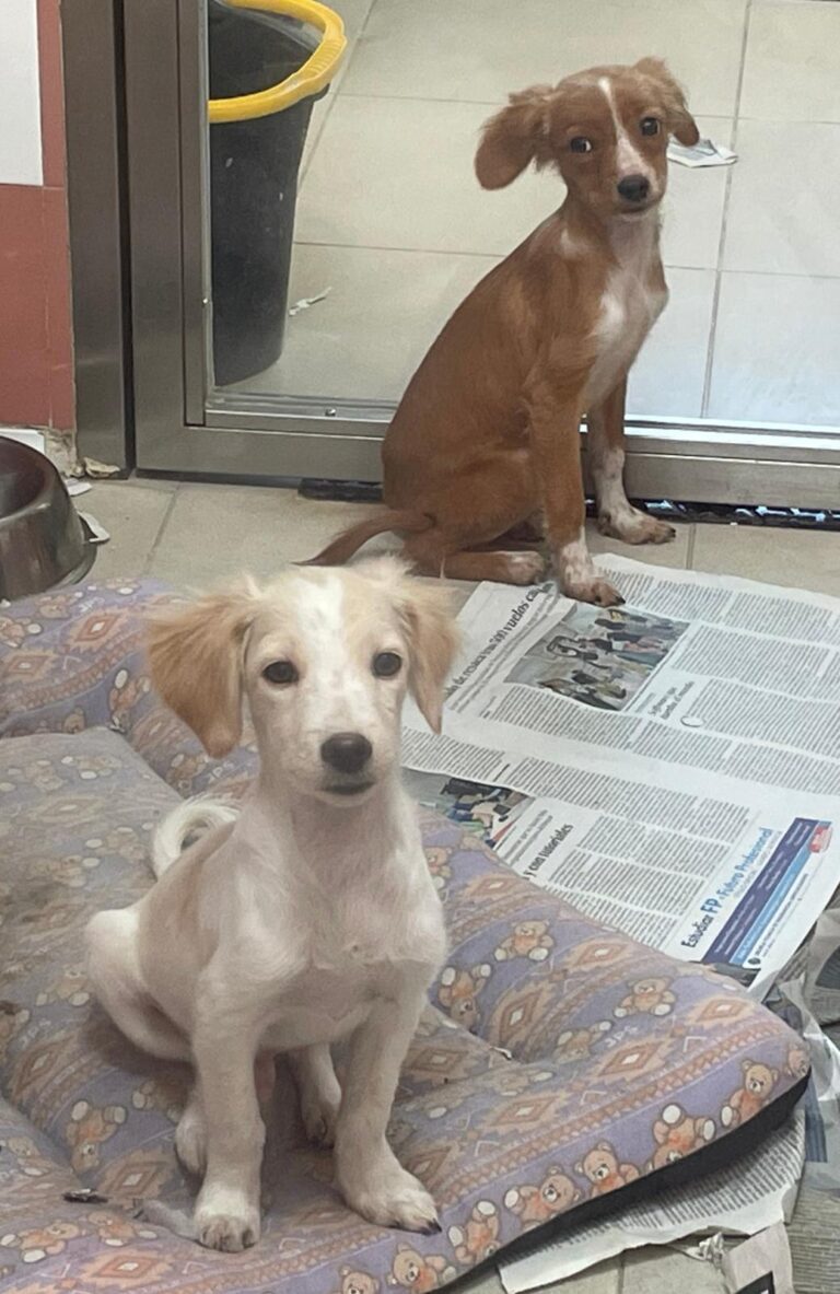 multimedia-foto91444-942-1