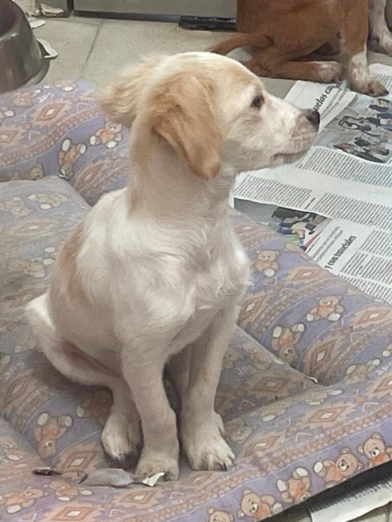 multimedia-foto91447-943-1