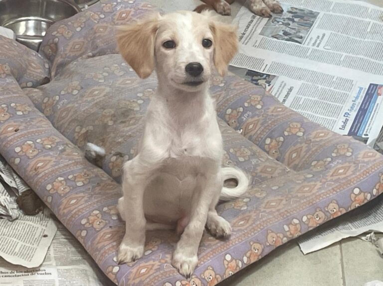 multimedia-foto91449-943-1