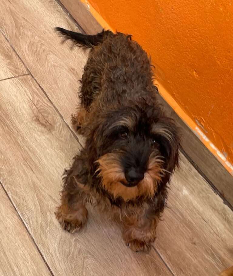 multimedia-foto91475-711-1