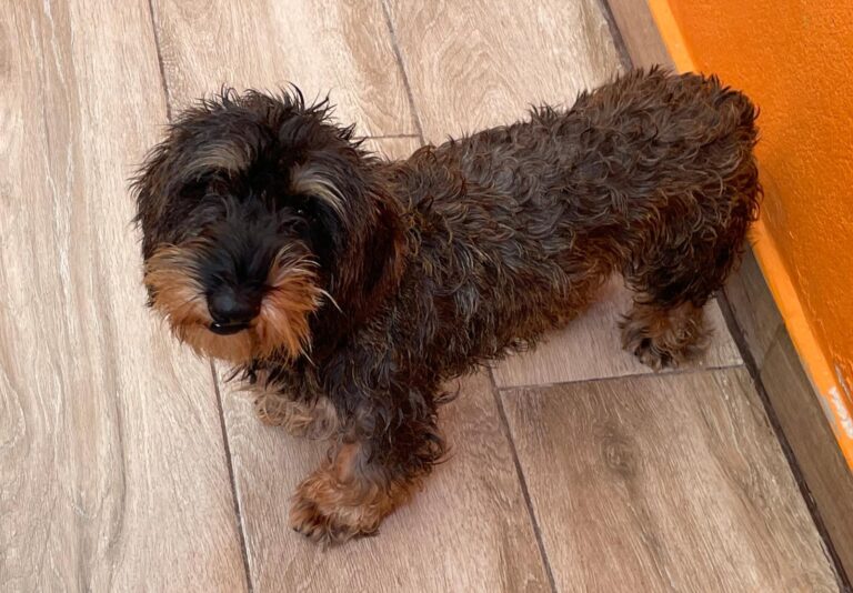 multimedia-foto91476-711-1