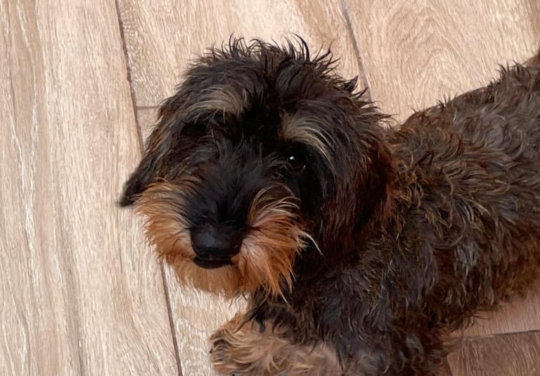 multimedia-foto91477-712-1